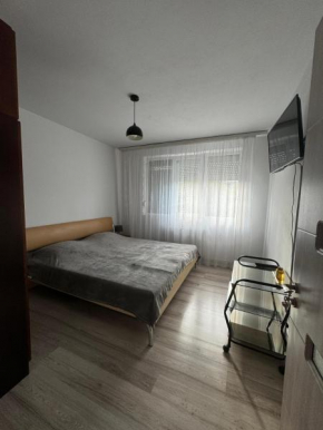 Margo Apartament cu 2 camere